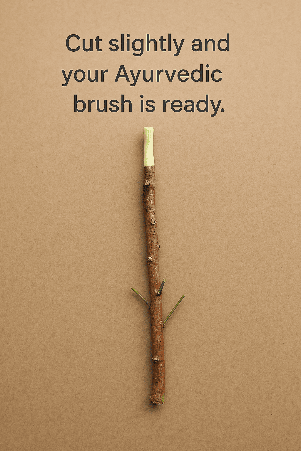 Natural Neem Twigs (Ayurvedic Datun Sticks) – Herbal Neem Toothbrush for Teeth Cleaning & Gum Strength (Pack of 15) Thumbnail 4